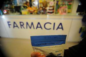 17 clientes ya compraron marihuana en la única farmacia habilitada de Maldonado