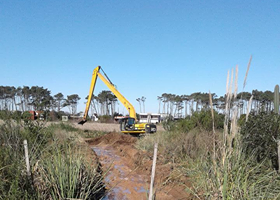 Vecinos de Ocean Park reclaman que se detengan obras en un bañado de la zona