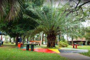 Realizarán diversas intervenciones en parque El Jagüel