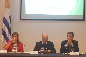 Proyectos de Maldonado ganaron postulación para ejecutarse en municipios