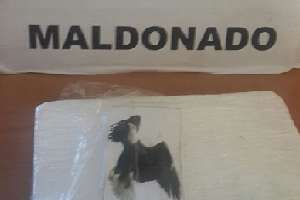 Operación Caleidoscopio: incautaron 1 kilo de cocaína y tres hombres a prisión