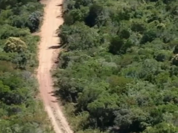 “El daño llama poder...