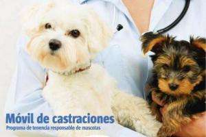 Móvil de castraciones caninas está hoy en Maldonado Nuevo