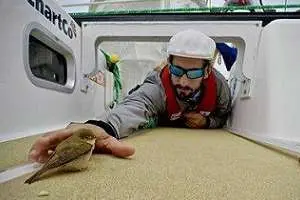 “Nano” Antía: la experiencia del único uruguayo que interviene en la Clipper