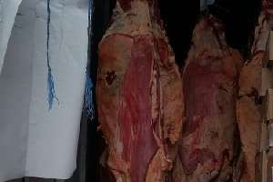 IDM incautó aproximadamente tres mil kilos de carne en mal estado 