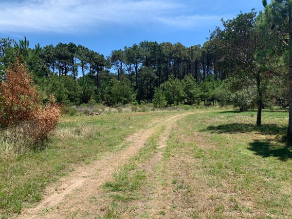 Denuncian que proyec...