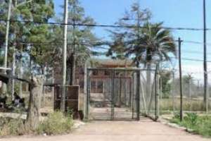 Adolescente imputado por tentativa de homicidio hacia su madre