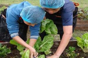 Alumnos del taller de Merienda Saludable demuestran su entusiasmo y motivación
