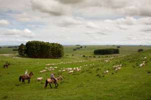 Mesa de Desarrollo Rural de Maldonado sesiona en "Las Cañas"