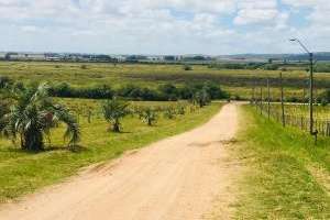 Mejoran acceso y caminería interna del Parque Grutas de Salamanca