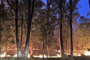 Bomberos combaten tres incendios en Ruta 9: uno está aún descontrolado