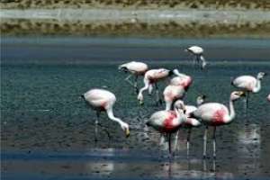 Preparan el Día de los Humedales con actividades en varias zonas de Maldonado