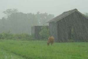 Medina: en algunas zonas de Maldonado se registraron casi 160 milímetros de lluvia