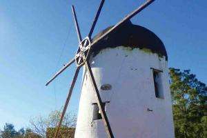 Presentan libro "El otro Maldonado, rastros de la agroindustria en nuestra identidad"
