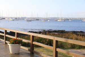 Destacan que se cumplen tareas permanentes para que Punta del Este se vea "linda y limpia"