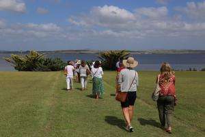 Punta del Este se impone como Ciudad Jardín