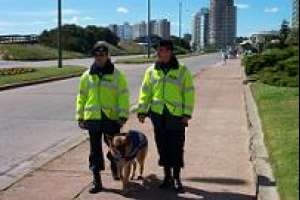 Formalización de la investigación para un hombre por un delito de hurto