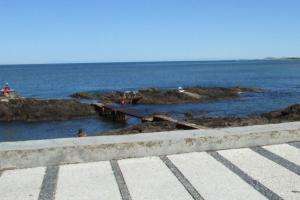 La IDM declaró de “Interés Patrimonial” al Muelle Las Mesitas de Punta del Este 