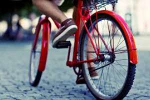 Robó una bicicleta en San Carlos y se le formalizó una investigación