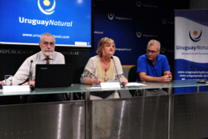 Más de 4,2 millones de turistas del exterior aportaron al Uruguay U$S 2.334 millones en 2017