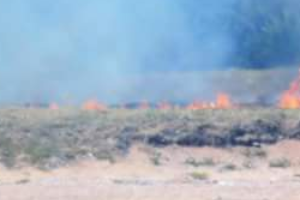 Incendio en Isla Gorriti fue sofocado con maquinaria adquirida por la IDM