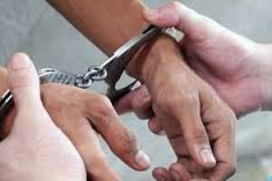 Intentó robar en viviendas de Villa Delia y fue enviado a la cárcel