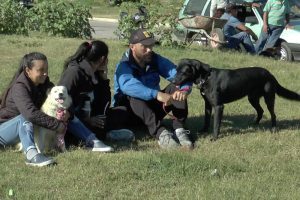 Castraciones caninas en Cerro Pelado