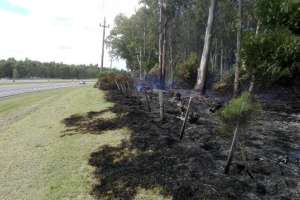 Bomberos de Piriápolis extinguieron un incendio en un monte de eucaliptus próximo al peaje Solís