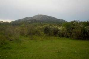 Fábrica de ticholos se instalará en el Parque Industrial de Pan de Azúcar