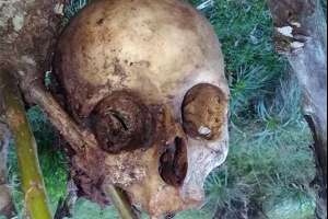 Hallan restos óseos humanos en Paso Dutra, cerca de San Carlos