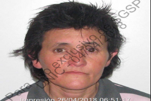 Una mujer realizó dos robos en viviendas y fue condenada siete meses de cárcel