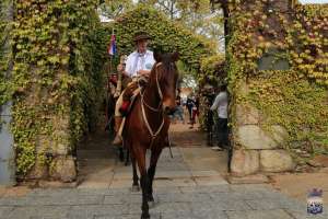 El Chasque de Artigas se está llevando a cabo "sin inconvenientes"