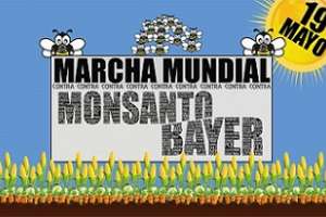 Convocan a la movilización global contra Monsanto-Bayer que se realizará en Maldonado