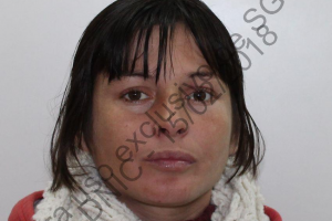 La agredieron y le robaron la moto, pero fueron atrapados