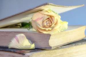Casa Grande realiza nuevamente “Un libro y una flor” en la feria de Maldonado