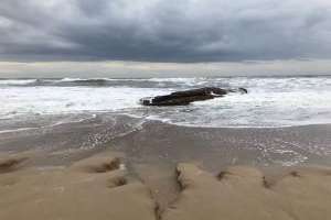 Realizan actividades en José Ignacio por el Día de los Océanos