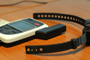 Violencia doméstica: un sujeto fue imputado tras desacatar varias órdenes de la Justicia