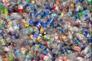 Se realiza en Punta del Este actividad suspendida durante el Día del Medio Ambiente