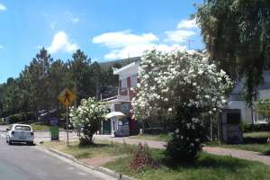 Plantean en la Junta Departamental diversos reclamos de los vecinos de Piriápolis