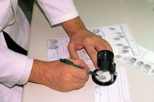 Trabajo de Policía Científica permitió aclarar el hurto en una finca de Piriápolis