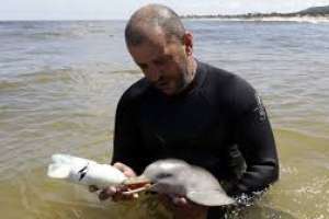 ONG animalistas respaldan reclamo de S.O.S. Rescate Fauna Marina para seguir en Punta Colorada
