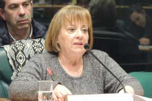 Edila de Armas reclama mayores cuidados en la instalación de calefones a gas