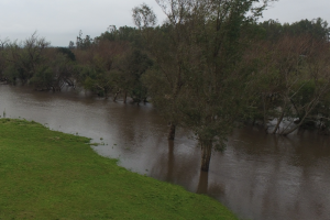 Dos personas fueron evacuadas en San Carlos por desborde de pluviales