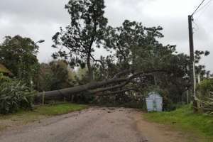 Intendentes reclamaron la falta de advertencias climáticas con anticipación