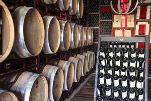 Lanzamiento de "Los caminos de la Vid y Los Olivos" será el 22 de agosto