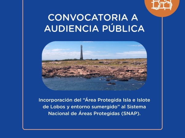 audiencia, Isla de Lobos, Liga de Fomento