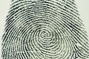 Robó en una casa pero dejó sus huellas dactilares y fue apresado