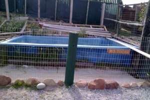 Municipio de Piriápolis aclara sobre S.O.S. Rescate de Fauna Marina