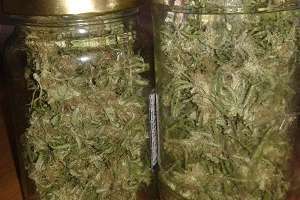 Incautaron cannabis en San Carlos e impusieron medidas cautelares a una pareja