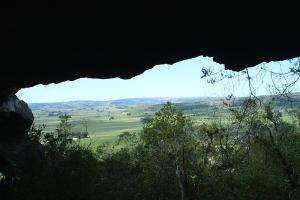 Grutas de Salamanca reconocido como área para la conservación de murciélagos